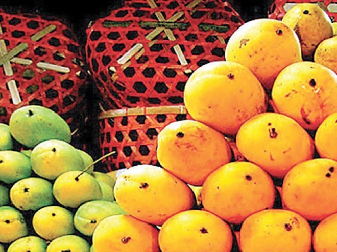 Export market: China opens up for Pakistani mangoes